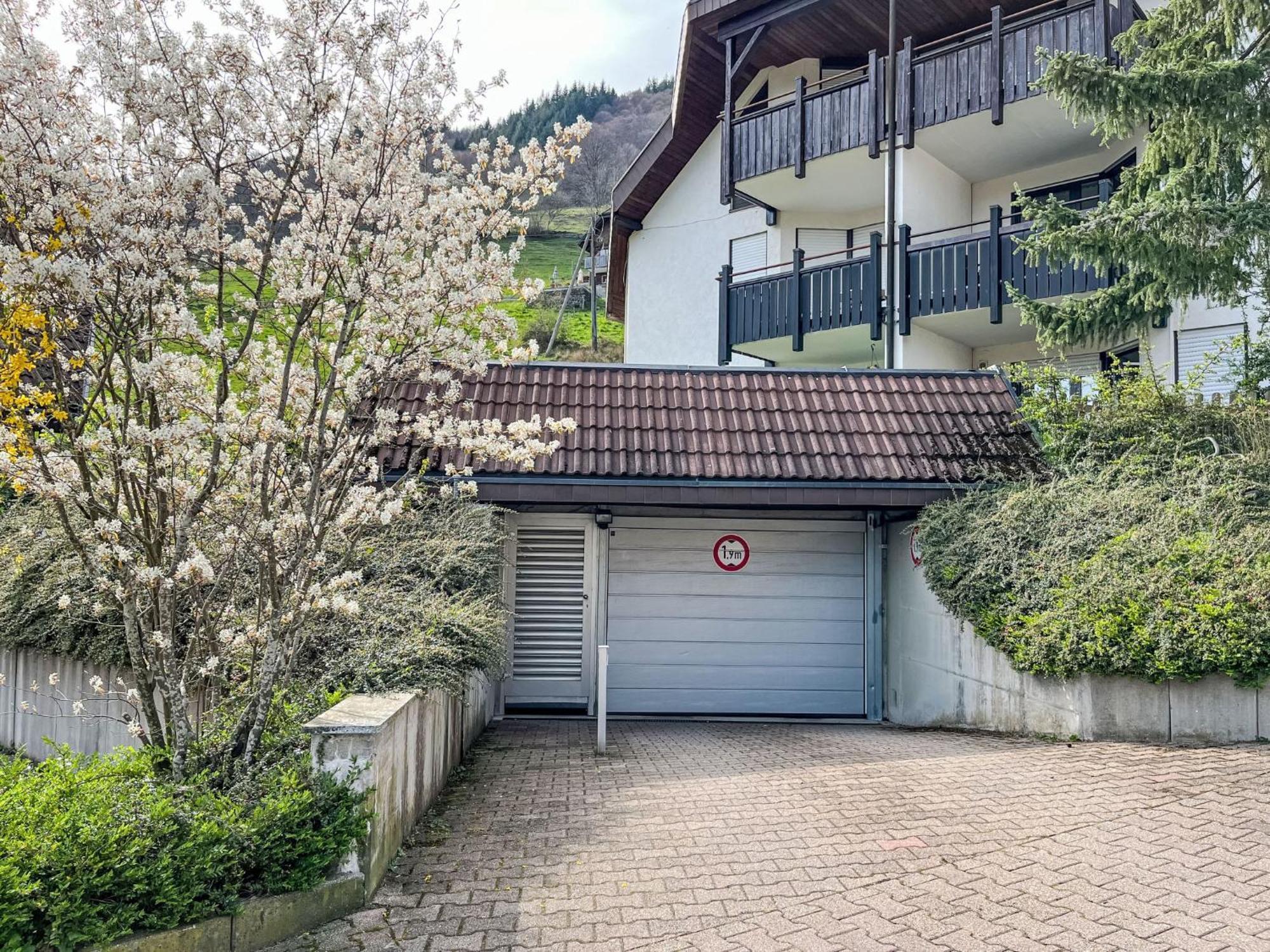 Apartment Sonnenblick II By Interhome トートナウベルク エクステリア 写真